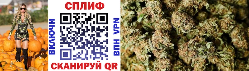 где найти наркотики  Анива  Бошки марихуана тримм 